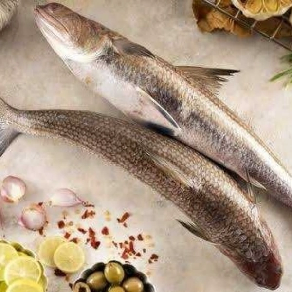 Lizard fish / தும்பிலி / கிழங்கான் மீன் - 500gm