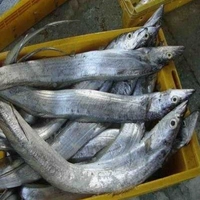 Ribbon fish / வாளை மீன் (125gm to 200gm size fish) - Curry cut, 1 Kg