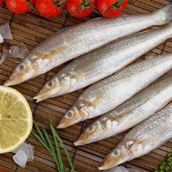 Lady Fish / வெள்ளைக்கிழங்கான் மீன் - 500gm - 500gm