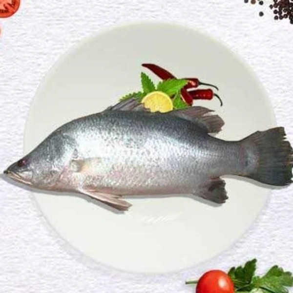 Seabass / koduva/ கொடுவா மீன் - 500gm - Curry