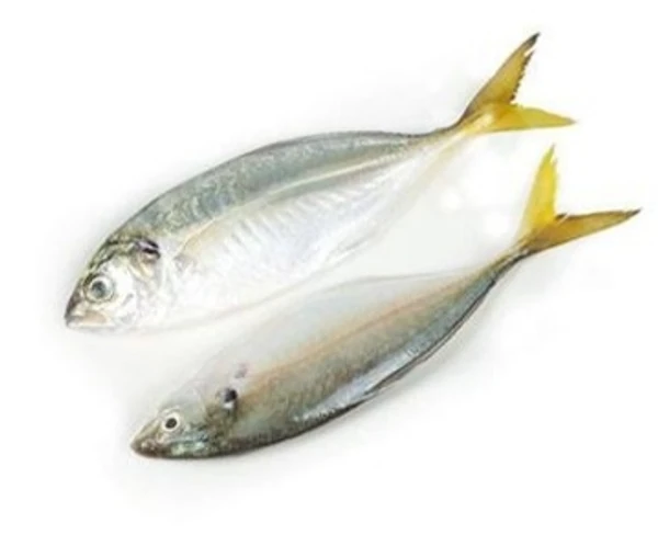 Trevally Fish / Paarai / அயல பாறை மீன் - 500gm