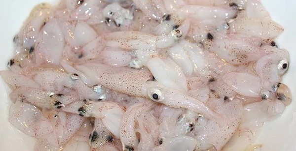 Squid / கணவாய் - Small, 500gm