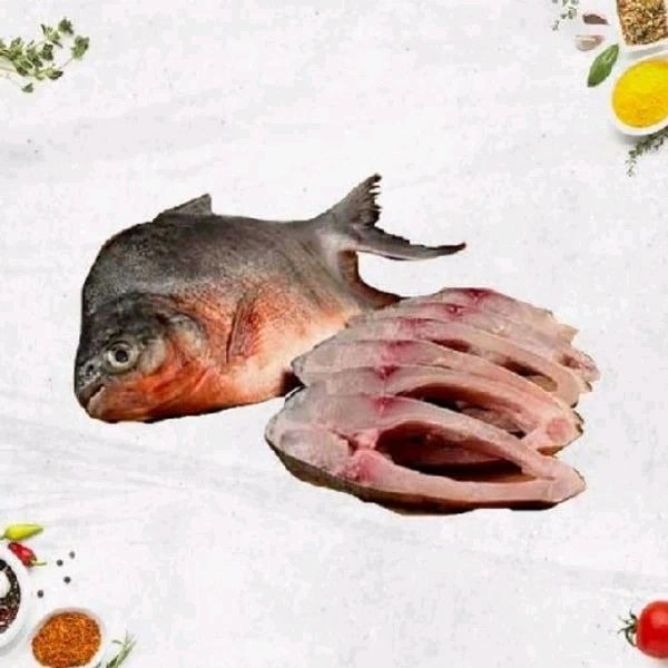 Lake Pomfret / ஏரி வாவல் மீன் 500gm - Slice