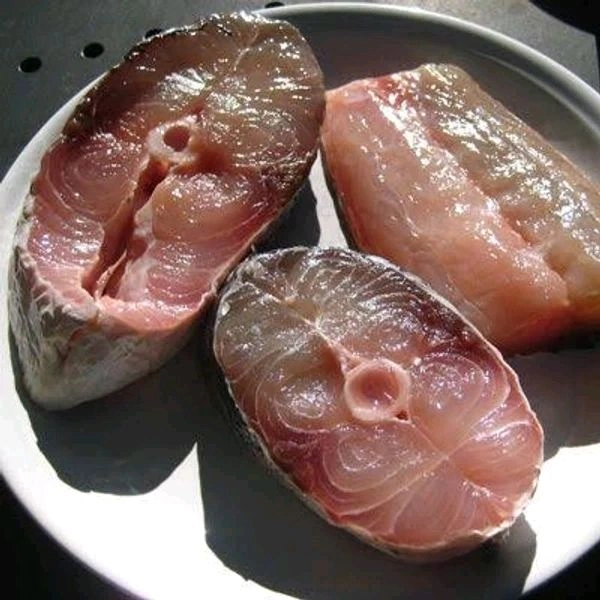Barracuda / Seela / சீலா மீன் - 500gm - Slice