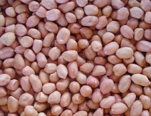 Peanuts/शेंगदाणे - 500g/50₹