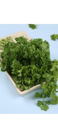 Coriander- 250g (Kothimbir)