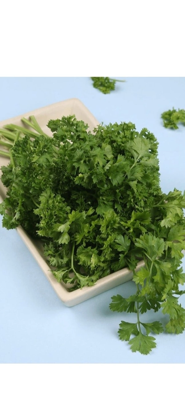 Coriander- 250g (Kothimbir)