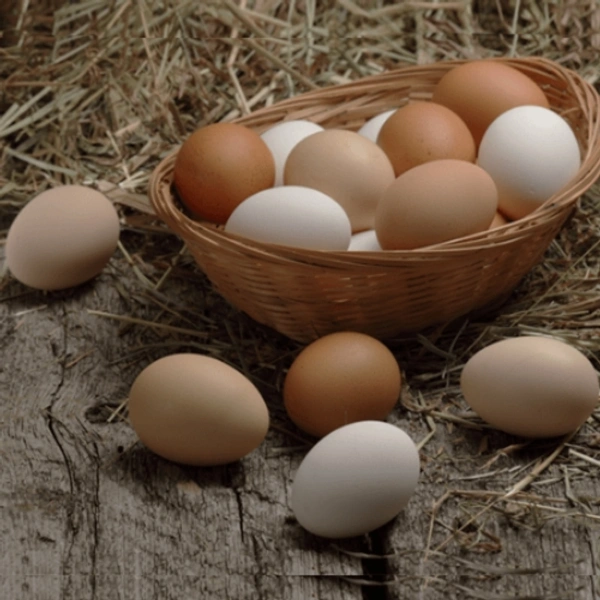 Gavran Anda (Desi Egg)