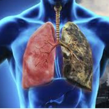 LUNGS CARE 