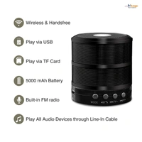 WS-887 BT SPEAKER 