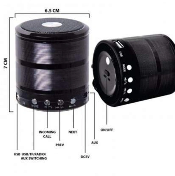 WS-887 BT SPEAKER 