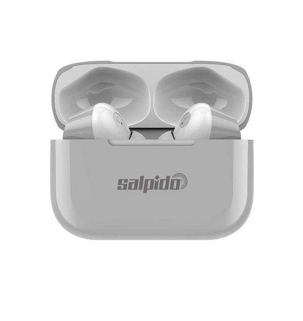 Earwaves S20 , True wireless earphones - 1 Years