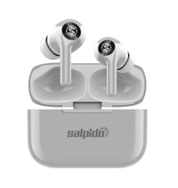 Earwaves S20 , True wireless earphones - 1 Years