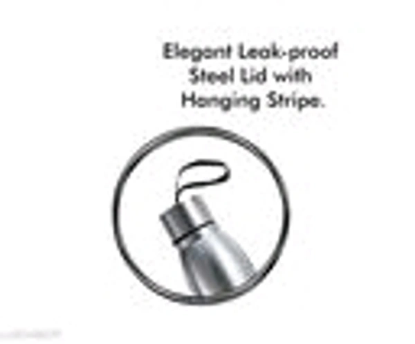 Stainless steel single wall fridge bottle  - Free Shipping
