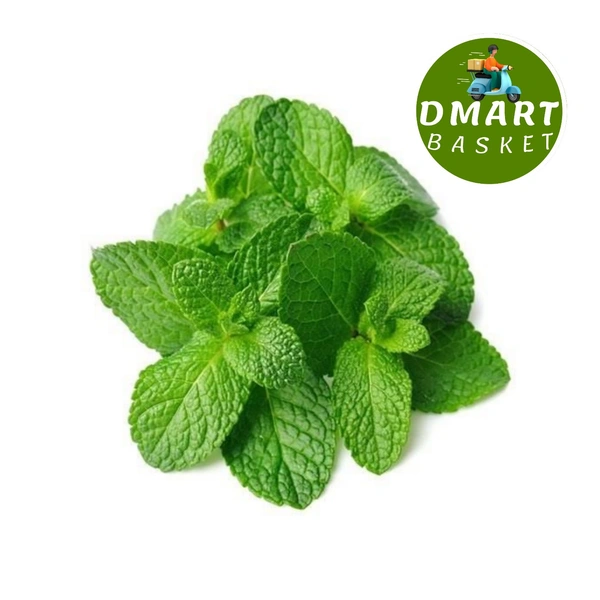 Ment Leaves (Pudina) - 100g