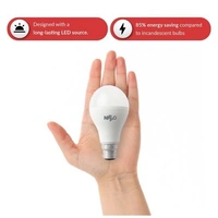 Nippo LED Bulb - 7 W, Cool Daylight, B22 Base - 1