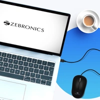 Zebronics Sprint Mouse - Black, No