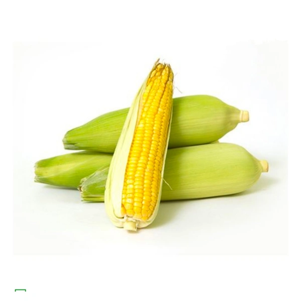 Sweet Corn - 2 pcs