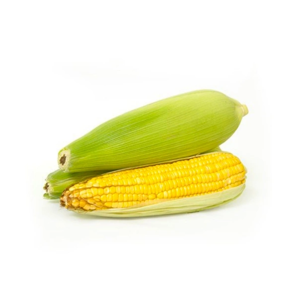 Sweet Corn - 2 pcs