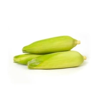 Sweet Corn - 2 pcs