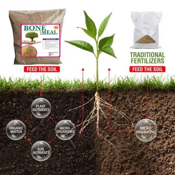 OEHB 100% Organic Premium Quality Bone Meal 400gm