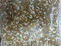 Daniya Mix Sounf - 100Gm