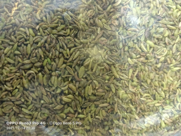 Pan Flavored Green Sounf - 500Gm