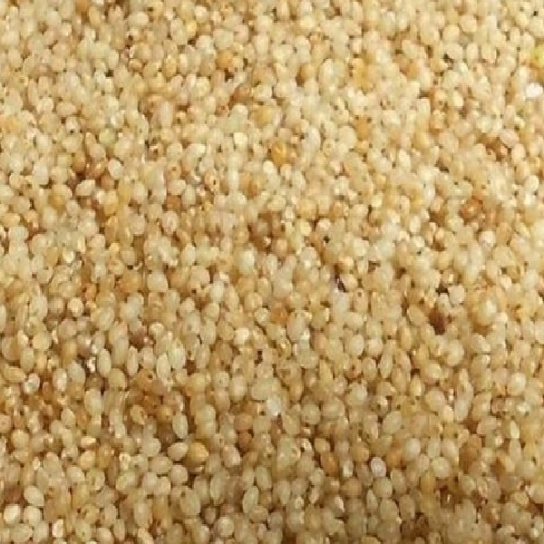 Samalu (Little Millet) - 250GM