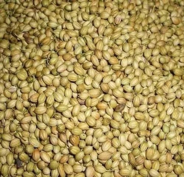 Daniya /Corriander Seeds /Daniyalu - 5KG