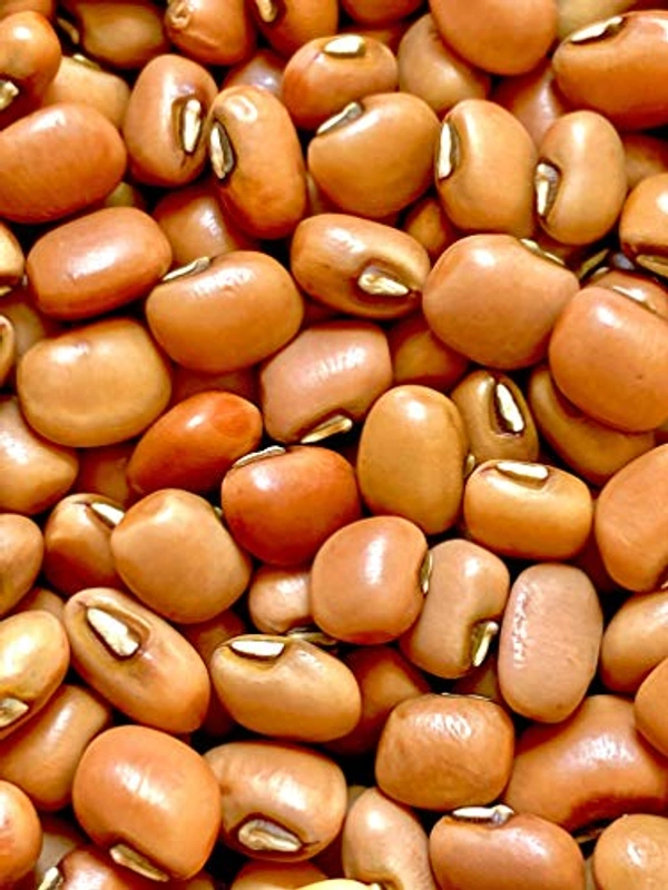 Red Lobiya/Alsandulu - 500GM