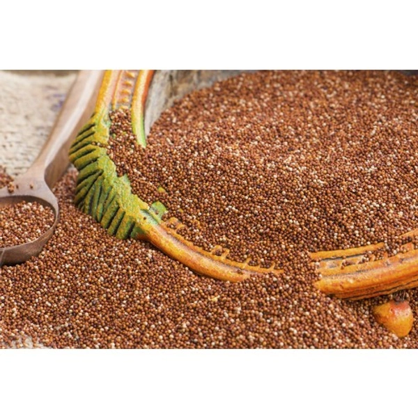 Ragi/Ragulu Seeds - 1KG