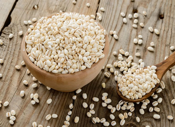 Barley Seeds/Barley Ginjalu - 1KG