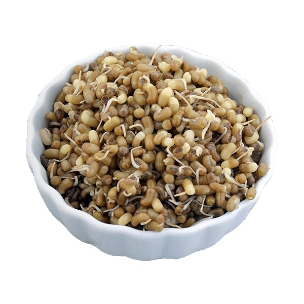 Matki (Mott) - 500GM