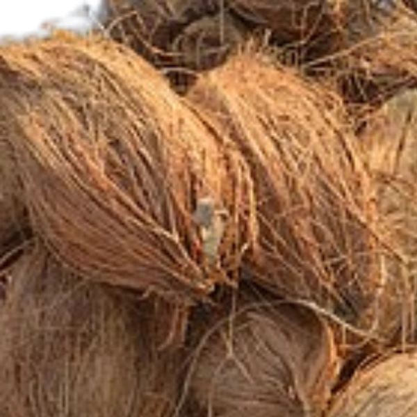 Arun Kirana Store Coconut ( Nariyal)