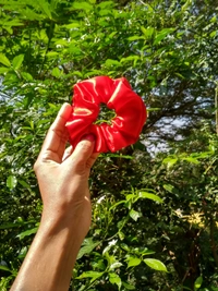 Scarlet Red - Scarlet red, M