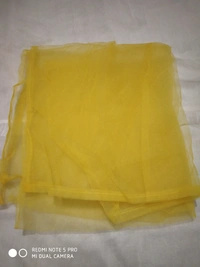 Crack Top Koti With Dupatta Set - Yellow, Free