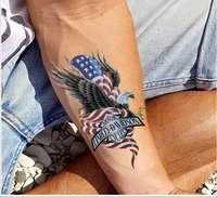 The Canvas Arts Wrist Arm Hand EagleBody Temporary Tattoo (Eagle, HarleyDavidson) - 