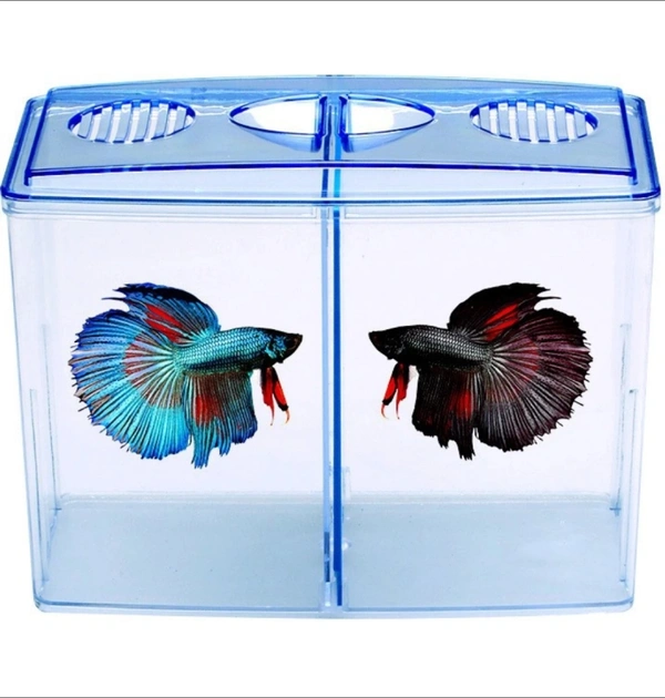 Petzlifeworld Double House Betta Tank Small FishTank for Fighter Fish Rectangle Aquarium Tank (1 L)