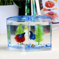 Petzlifeworld Double House Betta Tank Small FishTank for Fighter Fish Rectangle Aquarium Tank (1 L)