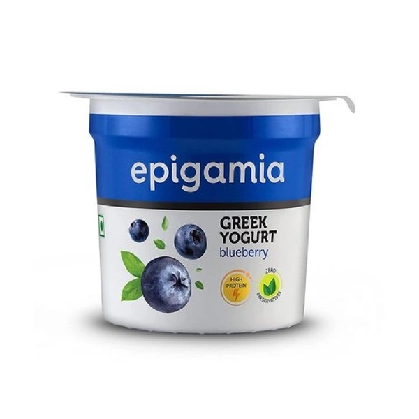 Epigamia Blueberry Greek Yogurt  - 90g