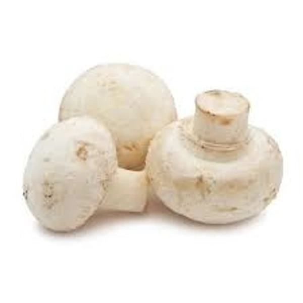 Button Mushroom  - 1 - Packet