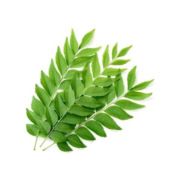 Curry Leaves - Whole Bunch