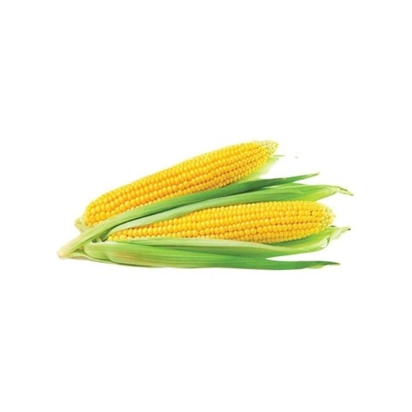 Sweet Corn  - 2 Pcs