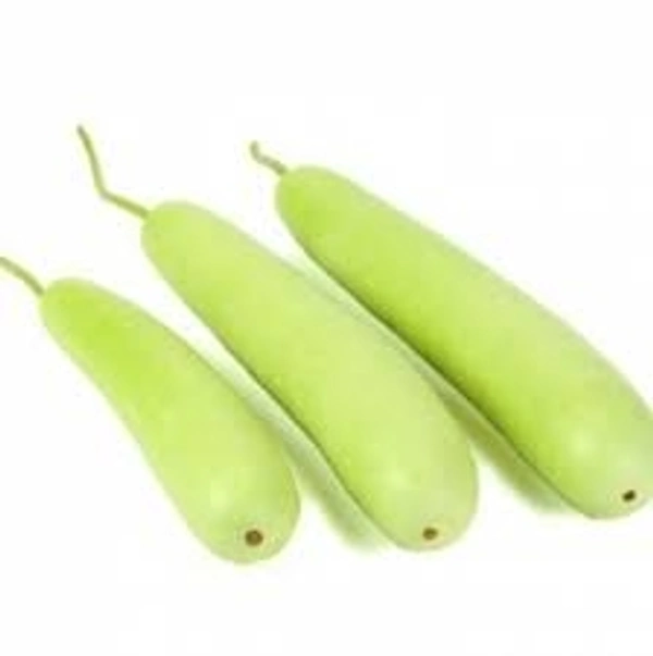 Bottle Guard  - 1 Pcs