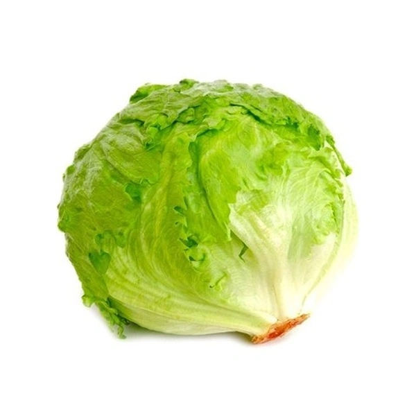 Lettuce Iceberg  - 1 Pcs