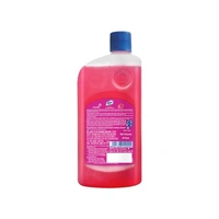 Lizol Floral Disnfectant Surface Cleaner  - 500 ml