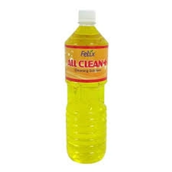 Acid Toilet Cleaner  - 1 Pcs
