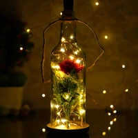 LED BOTTLE LAMP