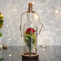 LED Bottle Lamp