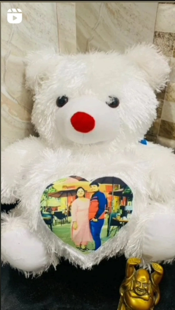 LED Teddy